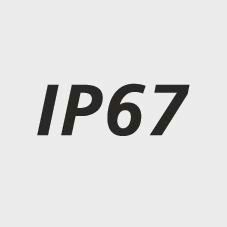 Icon: lag485720__seal.jpg