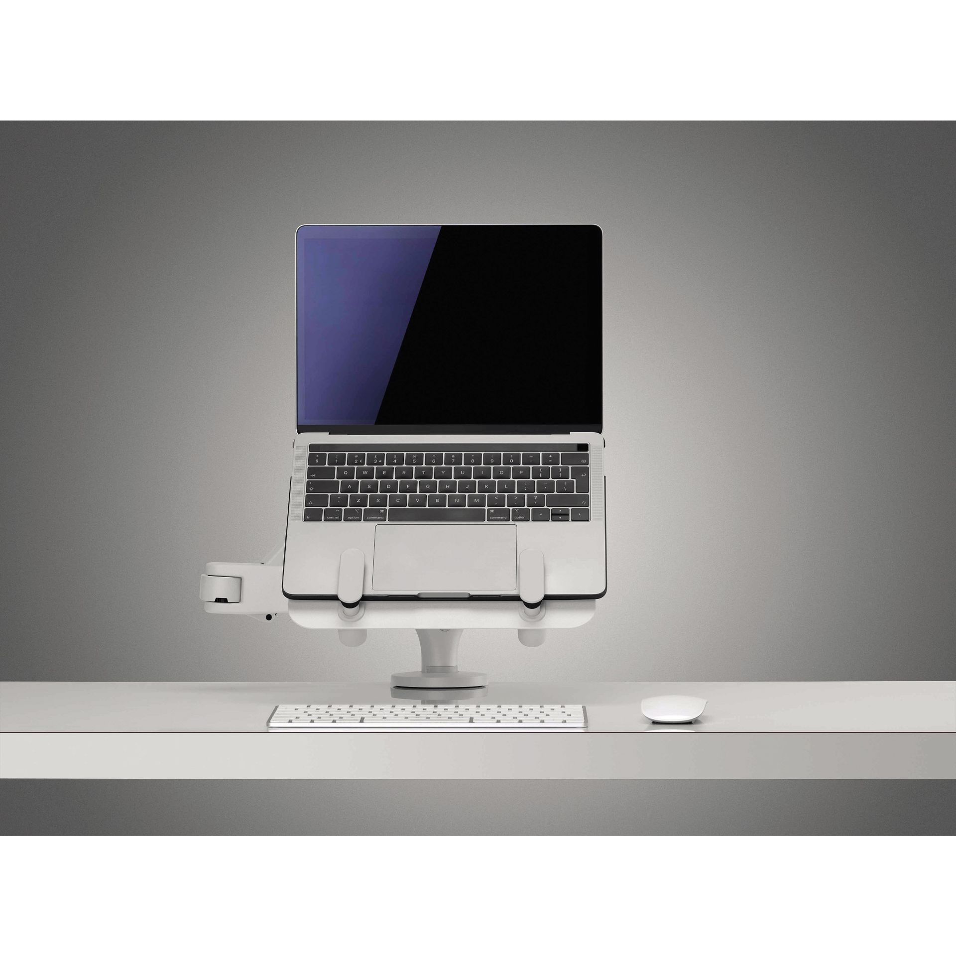 Halterung Dynamic für Laptop/Tablet ws