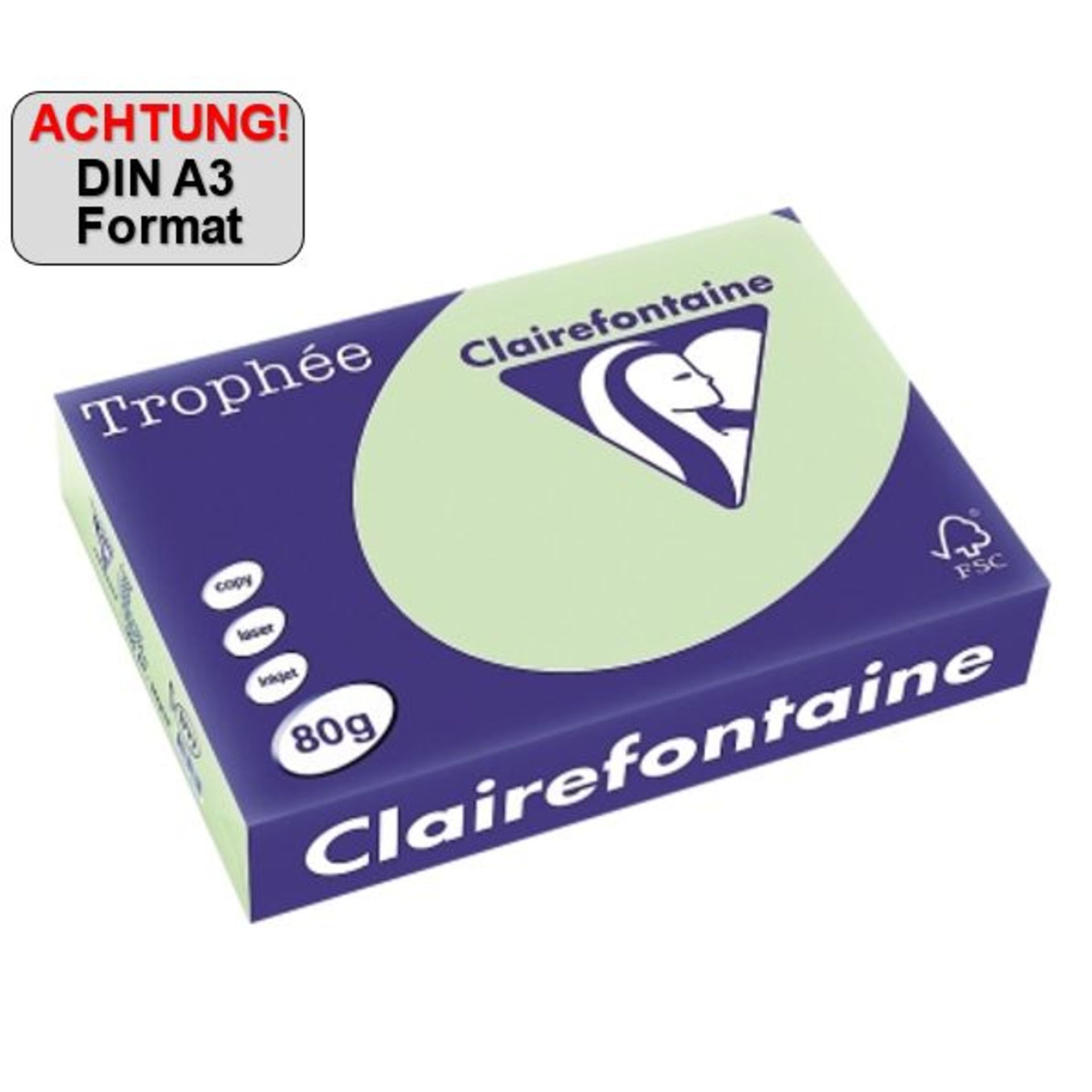 Kopierpapier A3 160g gn 250Bl