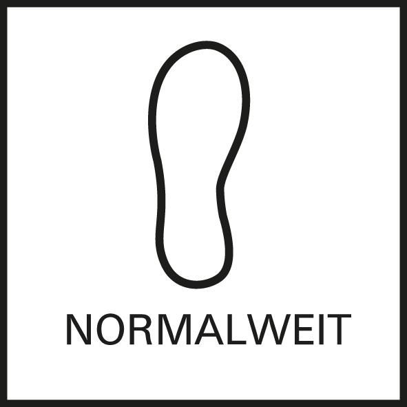 Icon: nextPIM_059E2E537BB8163A1CA4297F4CE15D03CF8D43553DF22FEFC2B851574599E74B_20738.jpg