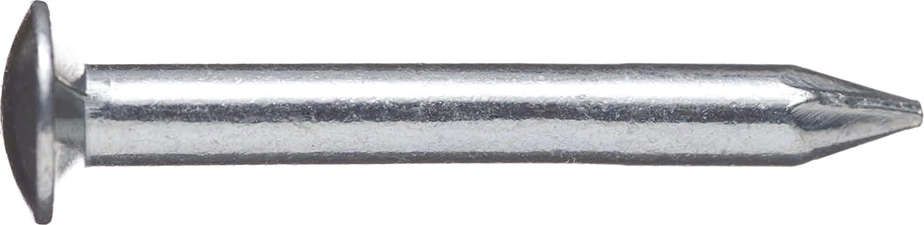 Hartstahlnägel Linsenkopf3,6x 50 verzinkt BÄR