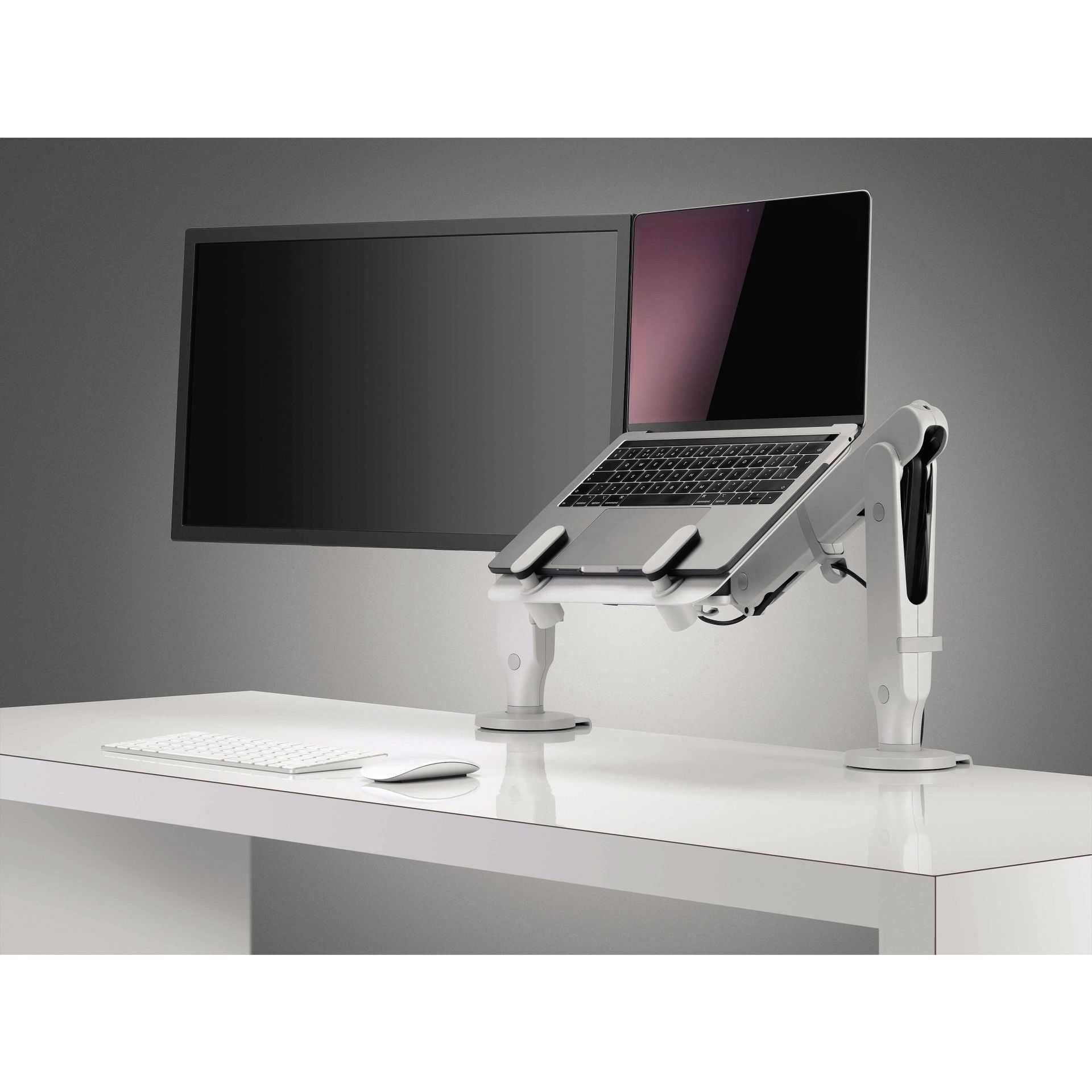 Halterung Dynamic für Laptop/Tablet ws