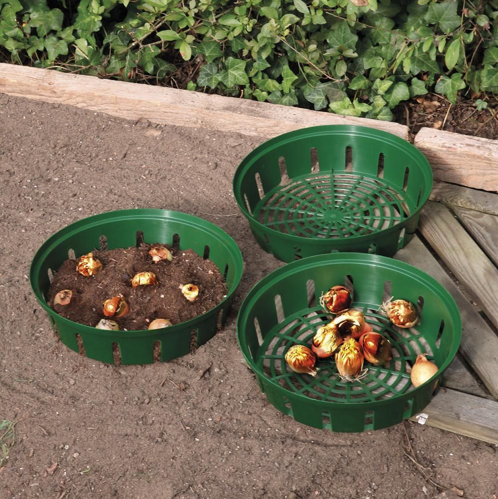 Blumenzwiebel- Pflanzenschale 3er Set rund Floraworld