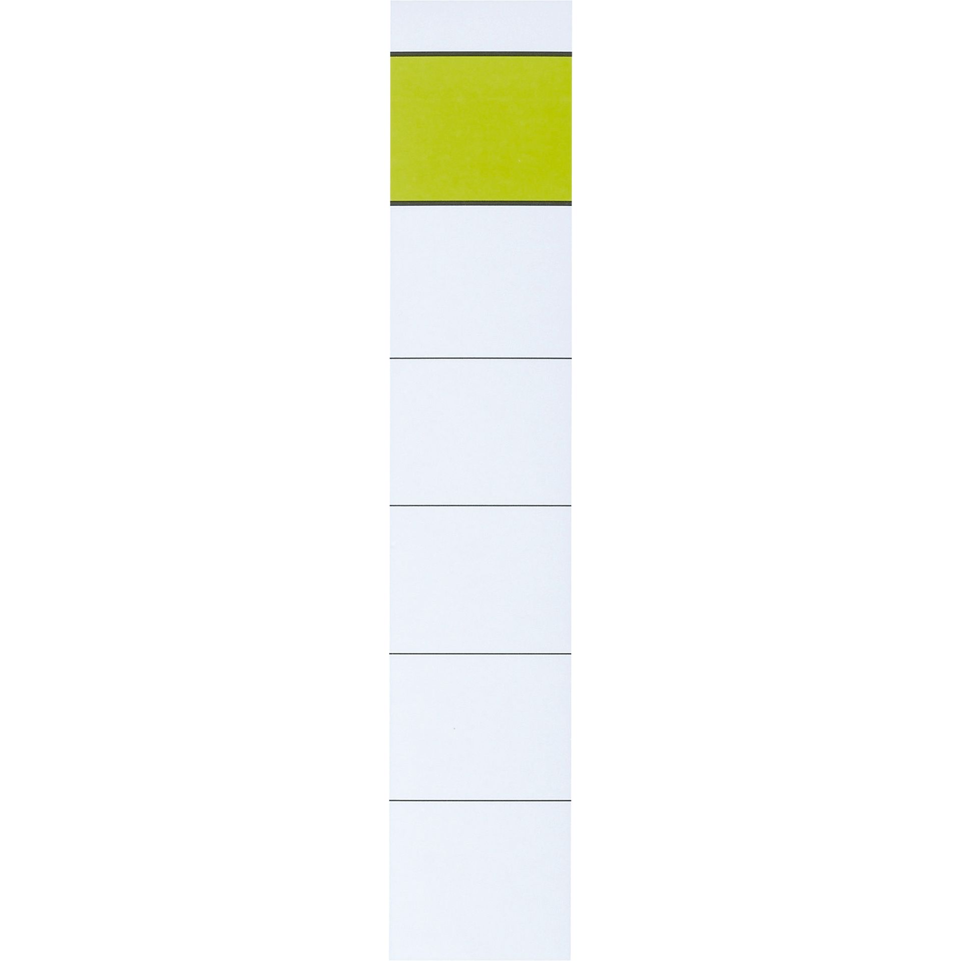 Rückenschild kurz/schmal 10St