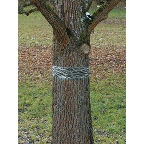 Raupen-u.Ameisenleimring 5x5cm Natural Control Swissinno Solution