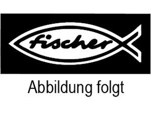 ART 81018 FISCHER-dynamic-Anker FDA-A St. gal Zn 12 x 100/25 S