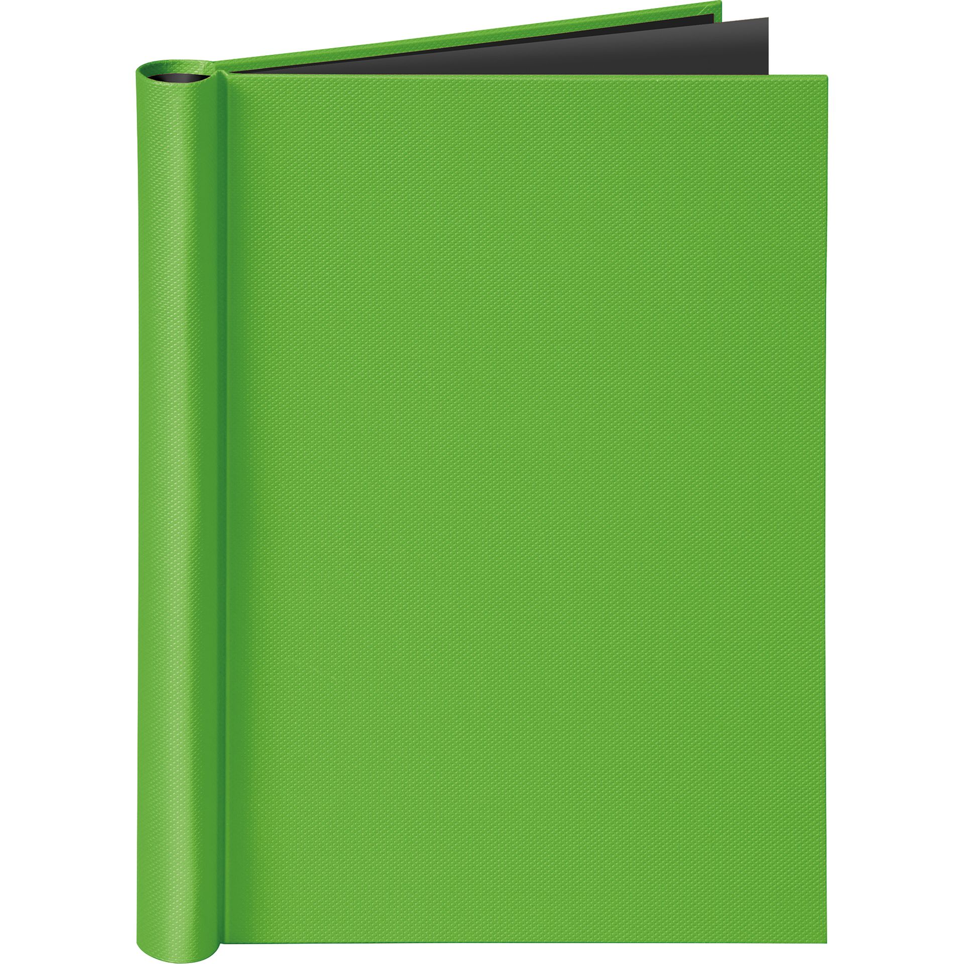 Klemmbinder VELOCOLOR DIN A4 grün