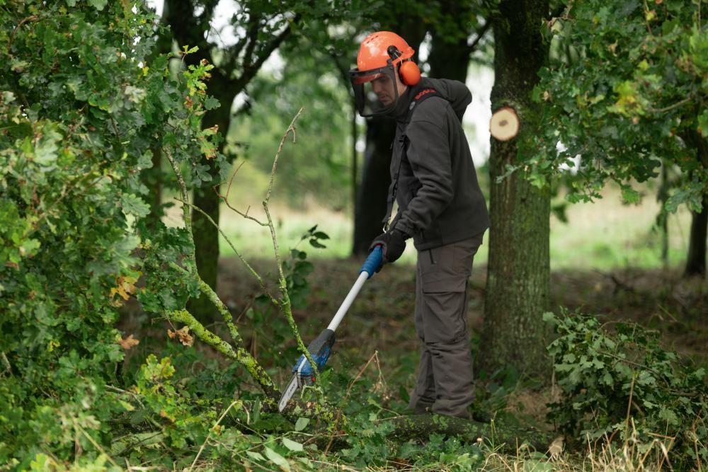 Akku Kettensäge , solo GKE 18V-25 TP Bosch ohne Akku ohne Ladegerät Karton
