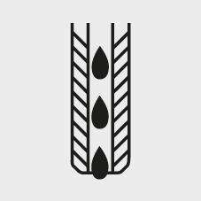 Icon: lag485286__seal.jpg