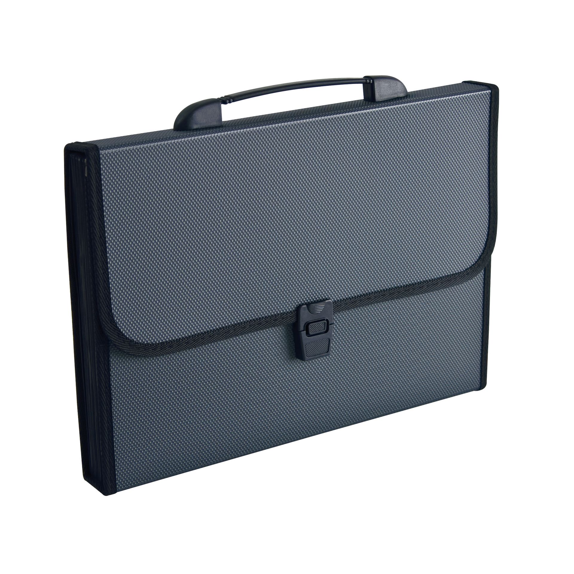 Fächertasche  A4 12Fächer sw