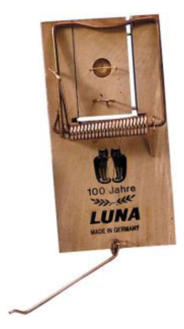 LUNA Holzrattenfalle aus Buchenholz