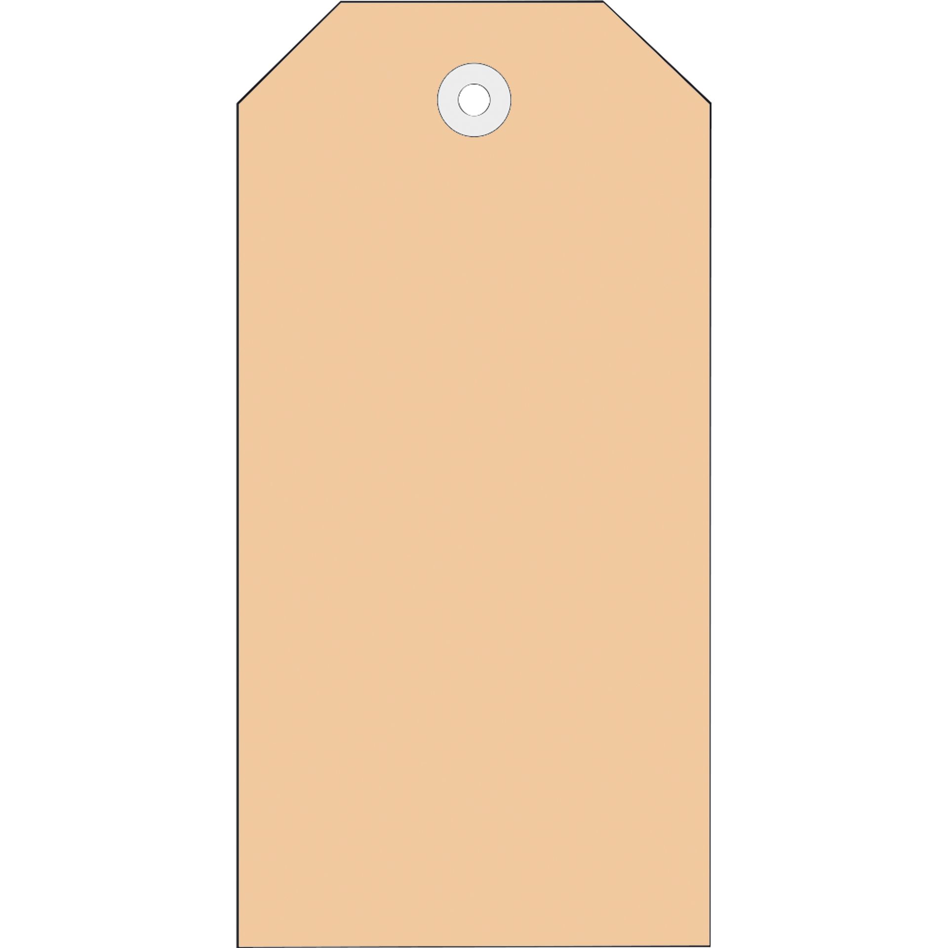 Anhängezettel  60x113mm 1.000St